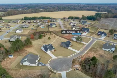 209 Squirrel Run, Good Hope, GA 30641 - Photo 2