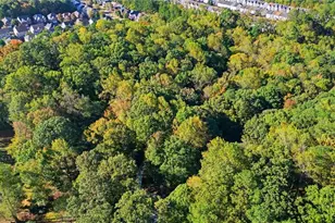 2977 Glover Dr, Cumming, GA 30040 - Photo 50