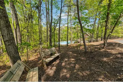 75 Night Fire Lane, Dawsonville, GA 30534 - Photo 48