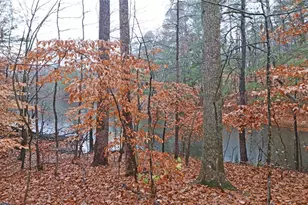 100 Wiley Hills Trail, Woodstock, GA 30188 - Photo 34