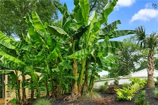 2454 Caladium Dr NE, Atlanta, GA 30345 - Photo 90