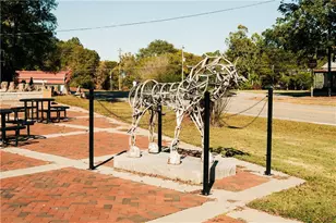 40 Cardinal Rdg Ct, Winder, GA 30680 - Photo 58