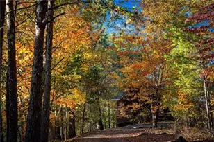 801 Oaklands, Talking Rock, GA 30175 - Photo 120