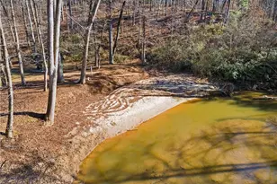 4941 N Helton Rd, Winston, GA 30187 - Photo 66