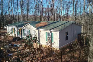 61 Lake Rd Ct, Ellijay, GA 30540 - Photo 2