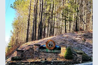 0 Black Bear Ridge, Ellijay, GA 30536 - Photo 1