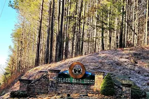 0 Black Bear Ridge, Ellijay, GA 30536 - Photo 1