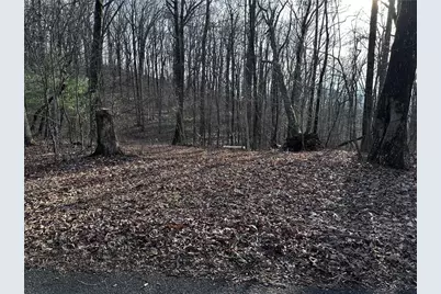 32 Andes Ridge, Jasper, GA 30143 - Photo 2