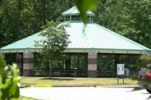 3337 Wild Clary Ct Lot 25, Buford, GA 30519 - Photo 48