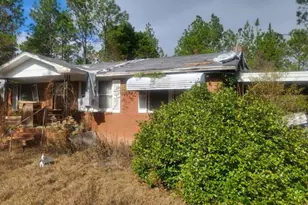 546 Alton Lawson Rd, Adrian, GA 31002 - Photo 2