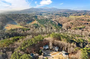 236 White Pine Way, Jasper, GA 30143 - Photo 46