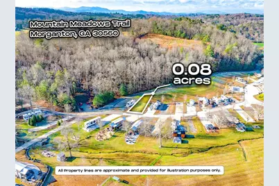 0 Mountain Meadows, Morganton, GA 30560 - Photo 1