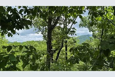 108 Crabapple Lane, Mineral Bluff, GA 30559 - Photo 2