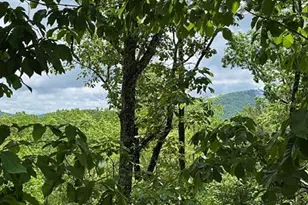 108 Crabapple Ln, Mineral Bluff, GA 30559 - Photo 2