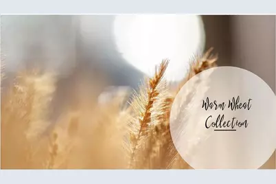 528 Sawnee Village Boulevard #D62, Cumming, GA 30040 - Photo 22