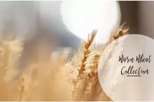 528 Sawnee Vlg Blvd, Cumming, GA 30040 - Photo 22