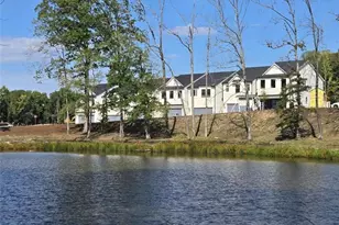 1843 Copelyn Reese Ln, Lawrenceville, GA 30043 - Photo 48