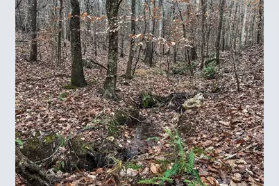 77 Observation Way, Dallas, GA 30132 - Photo 8