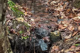 77 Observation Way, Dallas, GA 30132 - Photo 1