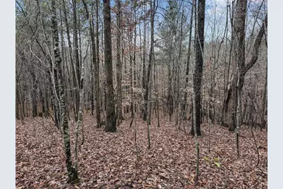 77 Observation Way, Dallas, GA 30132 - Photo 6