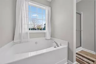 167 Bridgewater Dr, Mount Airy, GA 30563 - Photo 20