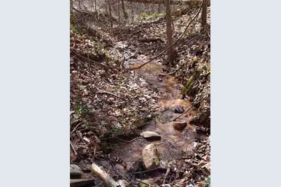 363 Lake Road, Dawsonville, GA 30534 - Photo 32