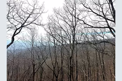 572 Cutthroat Ridge, Jasper, GA 30143 - Photo 56