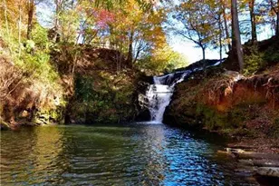 572 Cutthroat Ridge, Jasper, GA 30143 - Photo 78