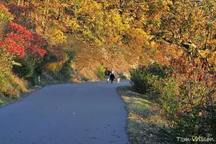 2135 Tayside Crossing, Kennesaw, GA 30152 - Photo 96