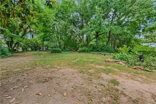 252 Seavy St, Senoia, GA 30276 - Photo 46