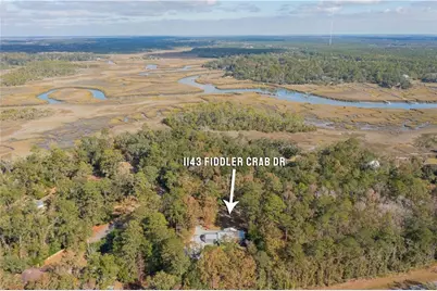 1143 Fiddler Crab Drive, Townsend, GA 31331 - Photo 28