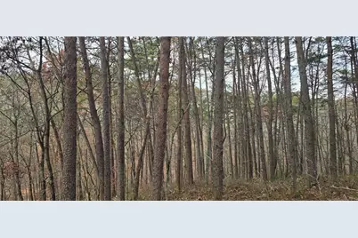 Tract 30 Deerfield Estates, Fairmount, GA 30139 - Photo 8