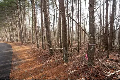 1 Amber Court, Jasper, GA 30143 - Photo 4