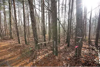 1 Amber Court, Jasper, GA 30143 - Photo 6