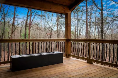 2393 Ada Street, Blue Ridge, GA 30513 - Photo 42