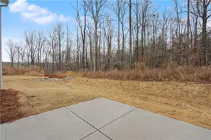 59 Champagne Pl, Braselton, GA 30517 - Photo 40