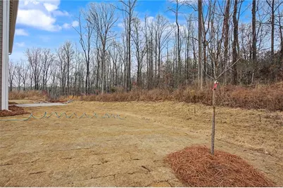 59 Champagne Place, Braselton, GA 30517 - Photo 42