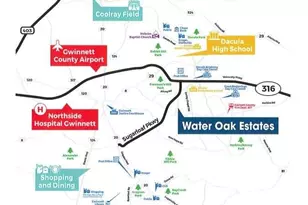 1618 Lacebark Elm Wy, Lawrenceville, GA 30045 - Photo 8