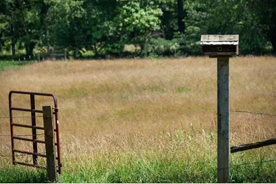 332 Night Lane, Epworth, GA 30541 - Photo 70