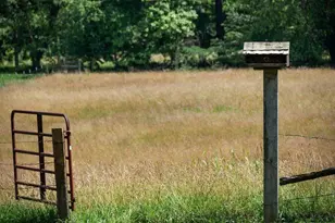 332 Night Ln, Epworth, GA 30541 - Photo 70