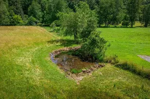 332 Night Ln, Epworth, GA 30541 - Photo 16