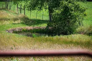 332 Night Ln, Epworth, GA 30541 - Photo 72