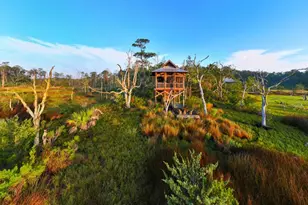 1300 Retreat Rd, Riceboro, GA 31323 - Photo 36