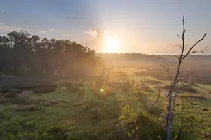 1300 Retreat Rd, Riceboro, GA 31323 - Photo 70