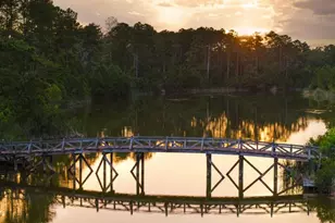 1300 Retreat Rd, Riceboro, GA 31323 - Photo 54