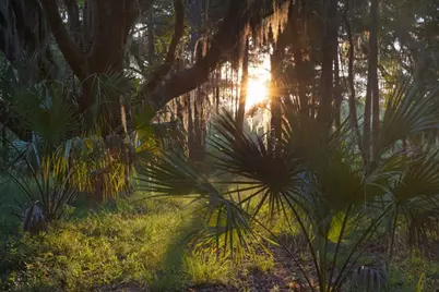 1300 Retreat Road, Riceboro, GA 31323 - Photo 6