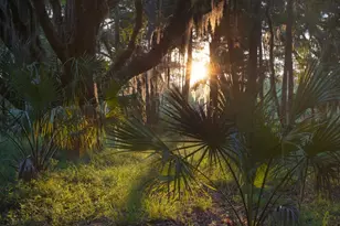 1300 Retreat Rd, Riceboro, GA 31323 - Photo 6