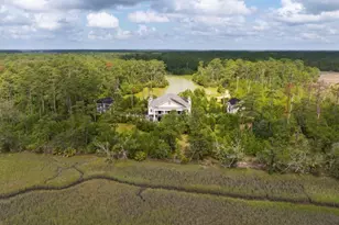 1300 Retreat Rd, Riceboro, GA 31323 - Photo 66