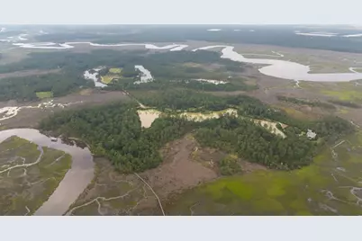 1300 Retreat Road, Riceboro, GA 31323 - Photo 76