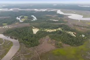 1300 Retreat Rd, Riceboro, GA 31323 - Photo 76